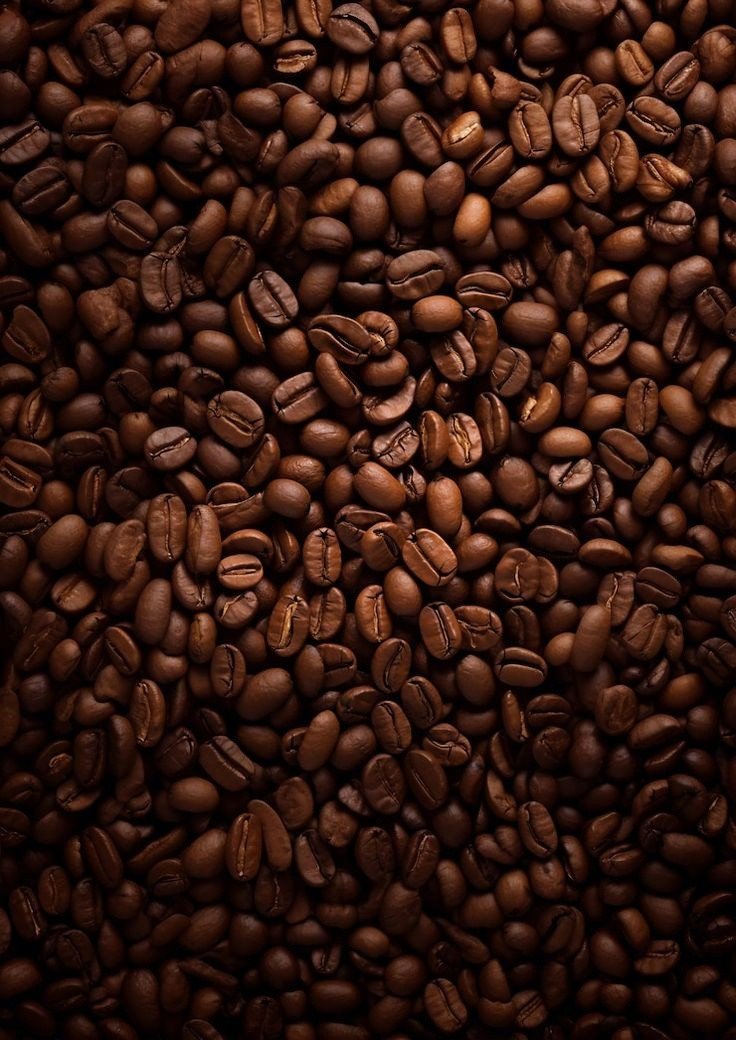 A close-up of roasted Indonesian coffee beans