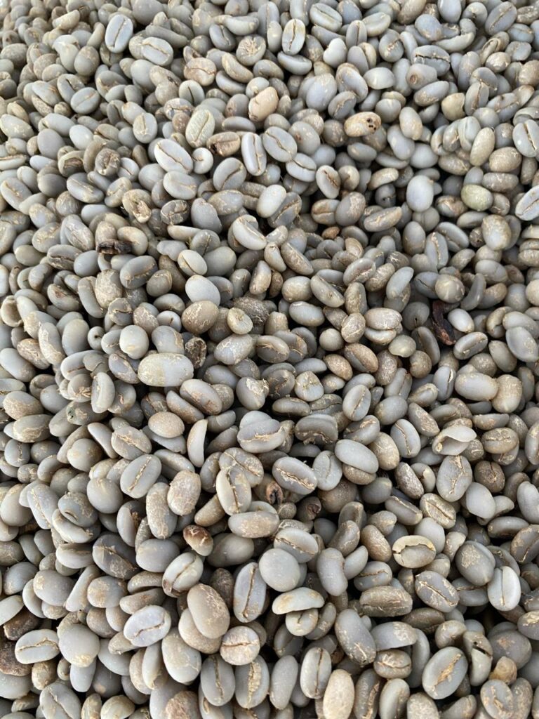 kopi1